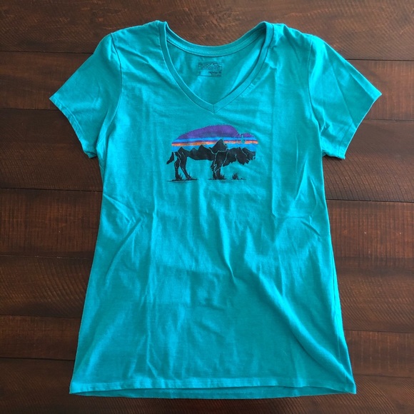 Patagonia V Neck Tee